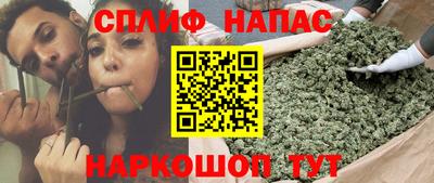 соль ск Бийск