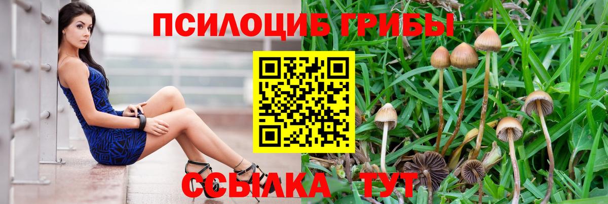 Вятские Поляны  Псилоцибиновые грибы мухоморы  Вход с VPN 